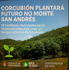 Lee más sobre el artículo Novo espazo de bosque de frondosas: Monte de San Andrés (Corcubión)